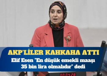 DEVA Partisi Milletvekili Elif Esen “En düşük emekli maaşı 35 bin lira olmalıdır” dedi, AKP sıralarından kahkaha atıldı
