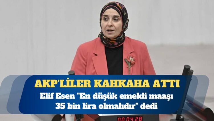 DEVA Partisi Milletvekili Elif Esen “En düşük emekli maaşı 35 bin lira olmalıdır” dedi, AKP sıralarından kahkaha atıldı