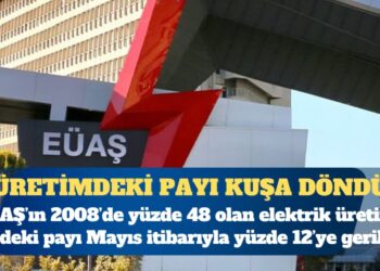 EÜAŞ’ın 2008’de yüzde 48 olan elektrik üretimi içindeki payı Mayıs itibarıyla yüzde 12’ye geriledi