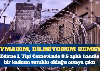 8,5 aylık hamile kadın tutuklandı