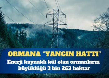 Enerji kaynaklı kül olan ormanların büyüklüğü 3 bin 263 hektar