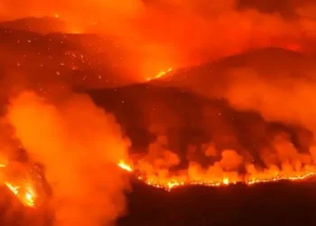 CHP’den, orman yangınlarıyla ilgili soru önergesi: “AKP, sorumlu kim kavgasıyla vakit harcarken yanacak yer kalmadığı için yangınlar söndü”