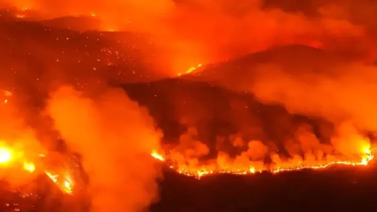 CHP’den, orman yangınlarıyla ilgili soru önergesi: “AKP, sorumlu kim kavgasıyla vakit harcarken yanacak yer kalmadığı için yangınlar söndü”