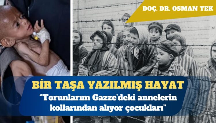 Amsterdam’da bir taşa yazılmış hayat: Torunlarım Gazze’deki annelerin kollarından alıyor çocukları