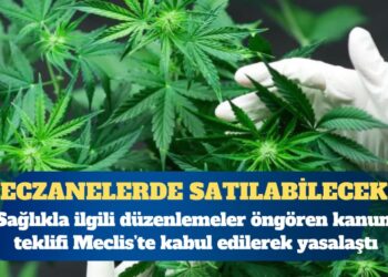 Tıbbi kenevir eczanelerde satılabilecek