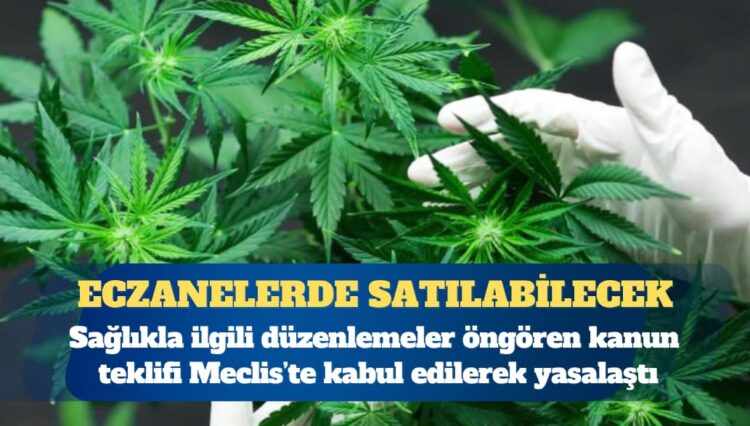 Tıbbi kenevir eczanelerde satılabilecek