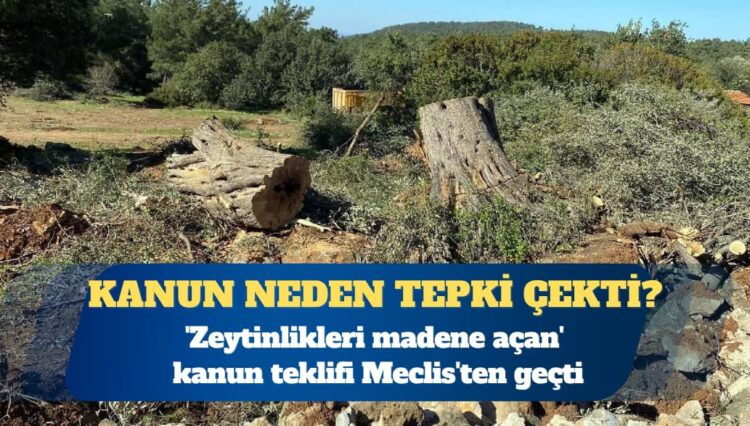‘Zeytinlikleri madene açan’ kanun teklifi Meclis’ten geçti