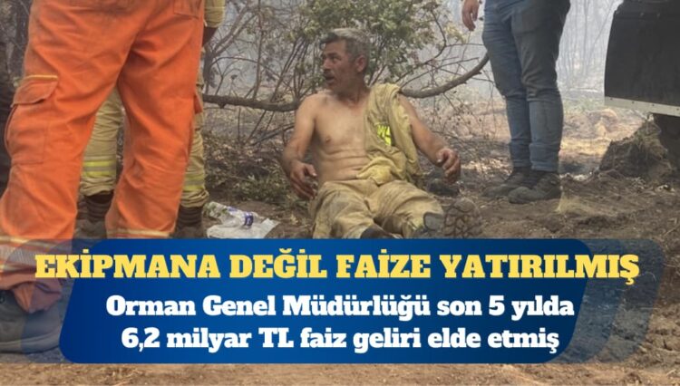 Paraları ekipmana değil faize yatırmış: Orman Genel Müdürlüğü son 5 yılda 6,2 milyar TL faiz geliri elde etmiş