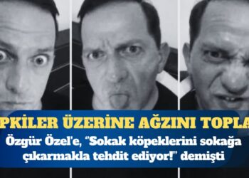 AKP’li Mücahit Birinci’den “Bana milleti sokağa davet ettirme” diyen Özgür Özel’e: Sokak köpeklerini sokağa çıkarmakla tehdit ediyor