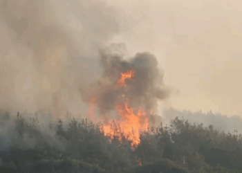 Tekirdağ’daki orman yangını Çanakkale’ye sıçradı