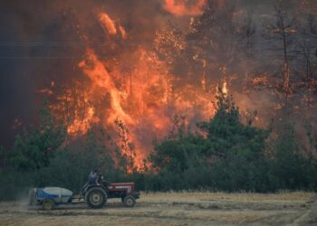Sakarya’dan Bilecik’e sıçrayan orman yangın devam ediyor