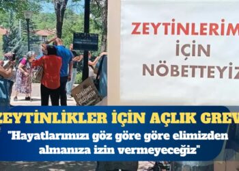 Zeytinlikleri için direnen köylüler açlık grevine başladı