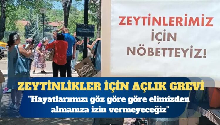 Zeytinlikleri için direnen köylüler açlık grevine başladı