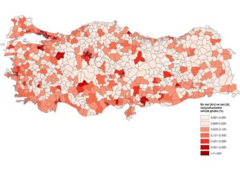 Sosyoekonomik açıdan en üst ve en alttaki iller: TÜİK’in verileri ne anlama geliyor?