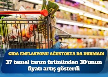 Gıda enflasyonu ağustosta da durmadı: 37 üründen 30’u zamlandı