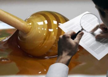 AKP’li belediye denetçiye kilolarca kestane balı ve fındık hediye etmiş