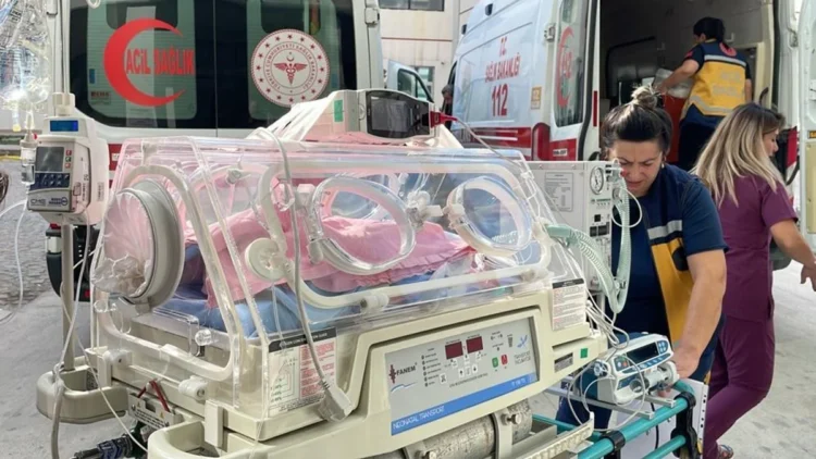 Anne hissetti, DNA kanıtladı: 17 yıl sonra gerçek ortaya çıktı