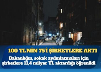Elektrik şirketleri bütçeyi söndürdü: 100 TL’nin 75’i şirketlere aktı