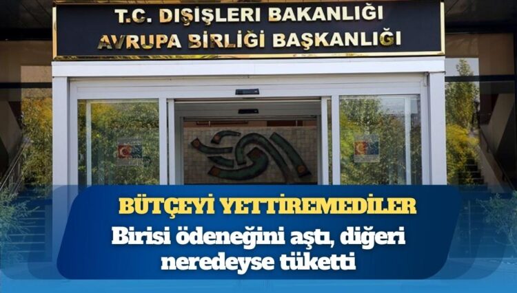 Bütçeyi yettiremediler: 7 ayda birisi ödeneğini aştı, diğeri neredeyse tüketti
