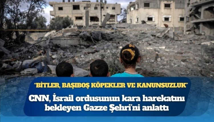 CNN “Bitler, başıboş köpekler ve kanunsuzluk” başlıklı haberinde Gazze’yi anlattı: “Gazze’de köpekler o kadar çok insan cesedi yedi ki vahşileşti, havlamaları bile değişti”