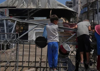 BM: Gazze’de kadınlar ve çocuklar açlıktan ölüyor