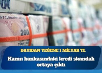Dayıdan yeğene 1 milyar TL: Kamu bankasındaki kredi skandalı ortaya çıktı