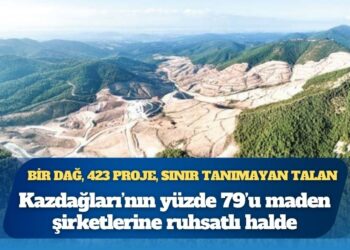 Her 3 maden projesinden 2’si onaylandı: Kazdağları’nın yüzde 79’u maden şirketlerine ruhsatlı halde
