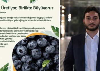 Fahrettin Altun’un 210 milyonluk sermayesiyle gündeme gelen oğlu, Boğaz’daki Mecidiye Kasrı’nda evleniyor
