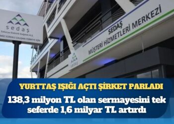 SEDAŞ elektrik değil sermaye artırma derdinde: Torunlar’dan 1,6 milyar TL’lik sıçrama