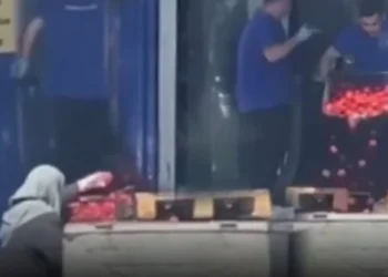 Sosyal medyayı ikiye bölen görüntü: Market domatesleri çöpe dökerken, yaşlı kadın topladı