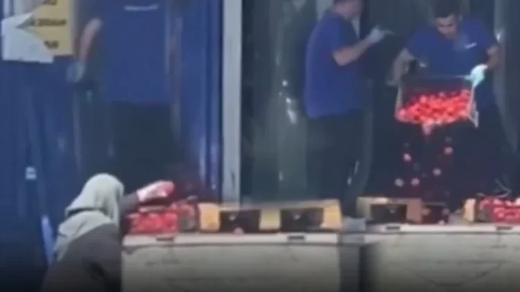 Sosyal medyayı ikiye bölen görüntü: Market domatesleri çöpe dökerken, yaşlı kadın topladı