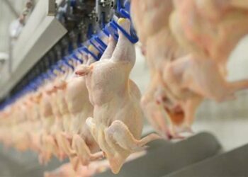 Suriye, Türkiye’den dondurulmuş piliç dahil 20 ürünün alımını süresiz yasakladı