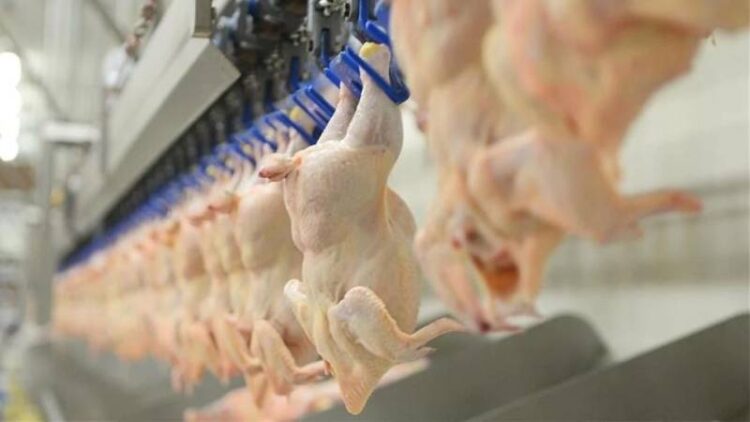 Suriye, Türkiye’den dondurulmuş piliç dahil 20 ürünün alımını süresiz yasakladı