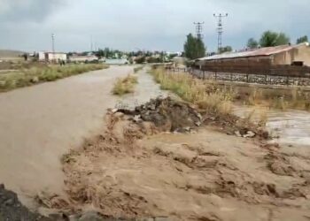 Van’da sel: DSİ’ye ihmal, kayyım belediyeye geç müdahale tepkisi