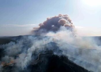 Gelibolu’da orman yangını: Beş köy tahliye edildi