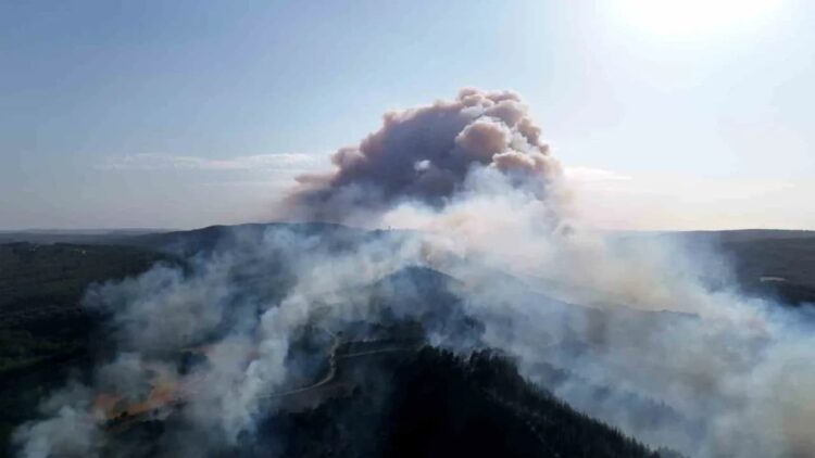Gelibolu’da orman yangını: Beş köy tahliye edildi