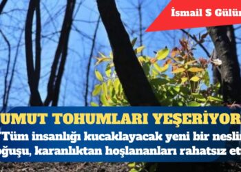 Zalime rağmen her yerde umut tohumları yeşeriyor