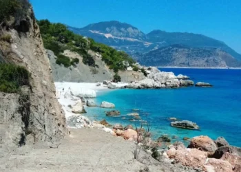 32 hektar orman: Yangında küle dönen ormanlar, “turistik tesis” yapılması için de hedefte