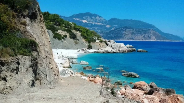 32 hektar orman: Yangında küle dönen ormanlar, “turistik tesis” yapılması için de hedefte