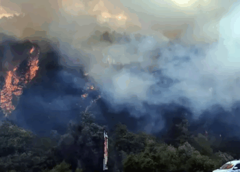 Bolu Mengen’de orman yangını