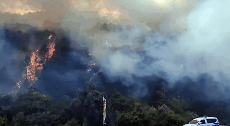 Bolu Mengen’de orman yangını