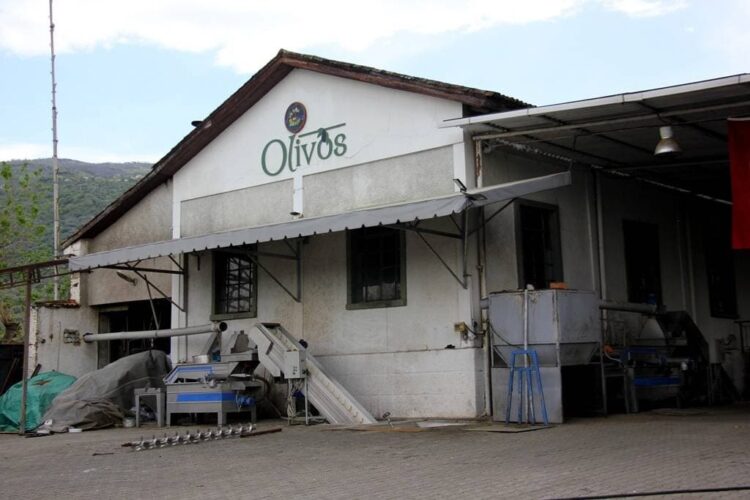 Ödüllü zeytinyağı devi Olivos konkordato talebinde bulundu