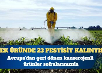 Avrupa’dan geri dönen kanserojenli ürünler sofralarda: Tek üründe 23 pestisit kalıntısı