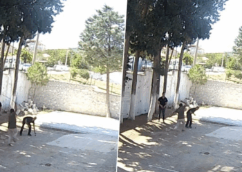 CHP’li Kale Belediye Başkanı sopayla zabıta dövdü