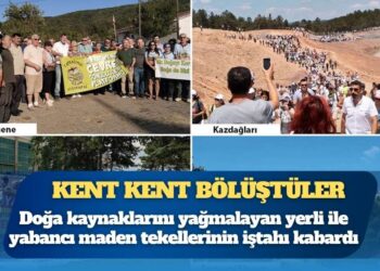 ‘İşgal yasası’ sonrası yağma başladı: Kent kent bölüştüler