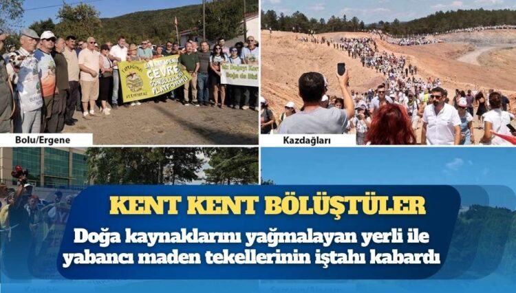 ‘İşgal yasası’ sonrası yağma başladı: Kent kent bölüştüler