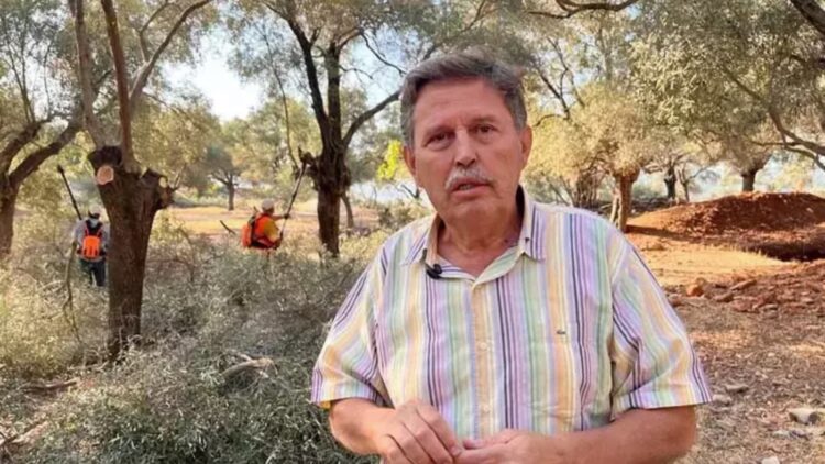 Akbelen’de zeytin ağaçlarının sökümüne onay veren ve bölgede çalışan kişi AKP’li çıktı
