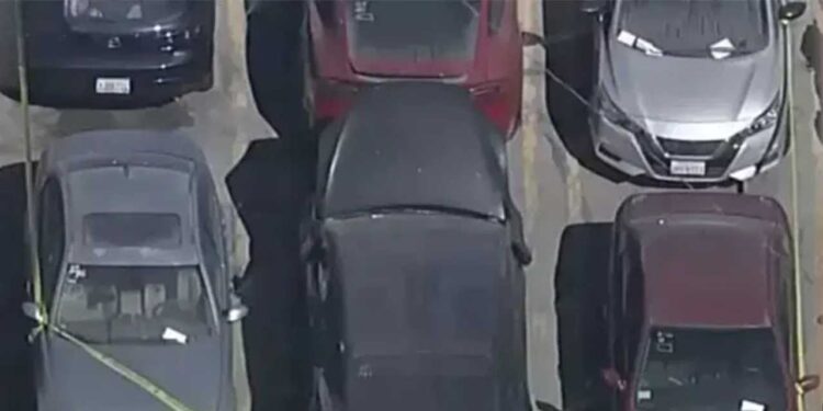 Aracından ceset çıkan ünlü şarkıcıya kötü haber