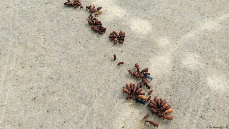 Dünya’nın sağlığı neden alarm veriyor?