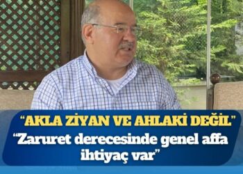 Hüseyin Çelik: Zaruret derecesinde genel affa ihtiyaç var